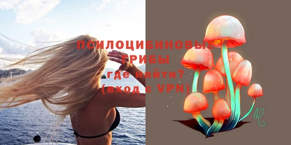 spice Алексеевка