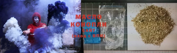 сатива Каменка