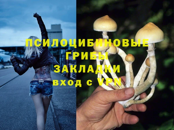 а пвп мука Абаза