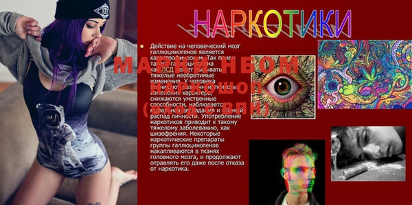 а пвп мука Абаза