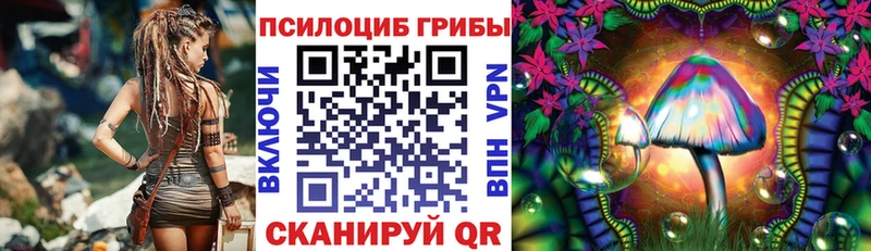 Псилоцибиновые грибы Psilocybe ОМГ ОМГ ссылки Энгельс наркотики