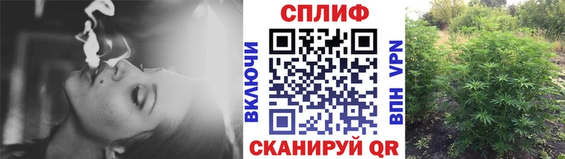 Конопля Ganja Энгельс